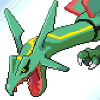 sealsrock avatar